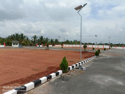 Project Image of 812.0 - 1902.0 Sq.ft Residential Plot Plot for buy in Senthur Star Avenue