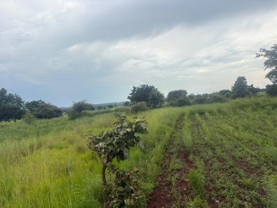 Project Image of 2700.0 - 10800.0 Sq.ft Residential Plot Plot for buy in Creos The Roots