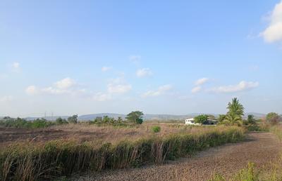 Project Image of 1000.0 - 10000.0 Sq.ft Residential Plot Plot for buy in Shree Ranjanpada
