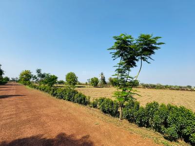 Project Image of 6000 Sq.ft Residential Plot / Land for sale in Tatibandh for Rs. 2850000