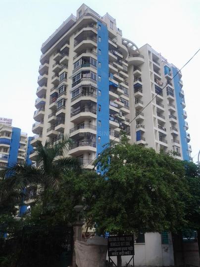 Gardenia Grace - Image 4