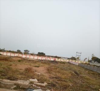 Project Images