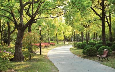 Project Image of 914.0 - 1242.0 Sq.ft 2 BHK Apartment for buy in Doshi Wellspring