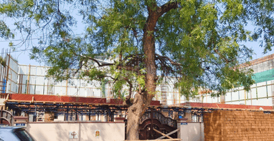 Project Image of 1737.0 - 1753.0 Sq.ft 3 BHK Apartment for buy in Auraa Sampoornadhaya
