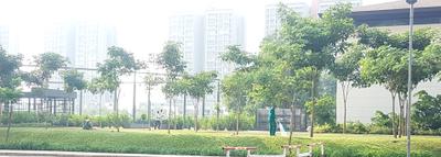 Project Image of 0.0 - 388.0 Sq.ft Studio Studio Apartment for buy in Lodha Belmondo Sawgrass B