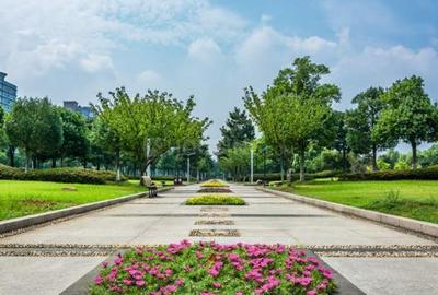 Project Image of 674.99 - 1349.9 Sq.ft Residential Plot Plot for buy in Aeropark