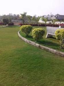 Project Image of 1440.0 - 2160.0 Sq.ft Residential Plot Plot for buy in Ambika Garden