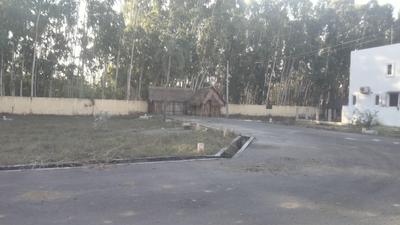 Project Image of 800.0 - 2729.0 Sq.ft Residential Plot Plot for buy in Nova KNT