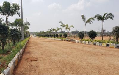 TMR Sarovar Images for Project 1