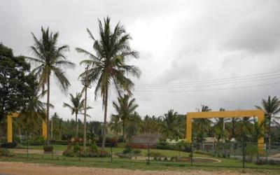 Project Image of 1162.0 - 4000.0 Sq.ft Residential Plot Plot for buy in Bhoomika Mango Grove II