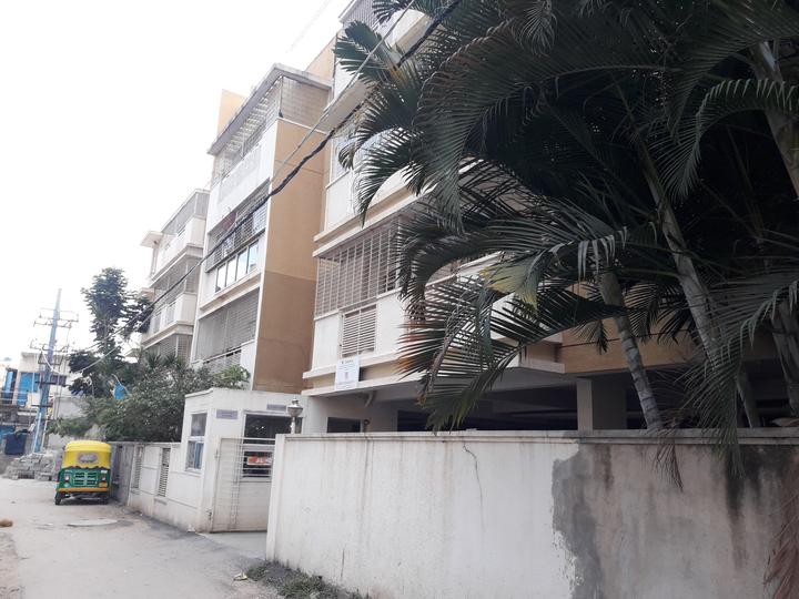 Gallery Cover Pic of Axis Sinopia