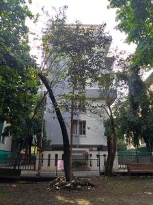 Project Image of 0.0 - 1379.0 Sq.ft 3 BHK Apartment for buy in Pate Century