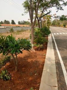 Project Image of 1200.0 - 3999.0 Sq.ft Residential Plot Plot for buy in Excel Oxygen
