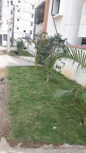Project Image of 1470.0 - 1950.0 Sq.ft 2 BHK Apartment for buy in Mathrubhuumi Fortview