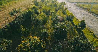 Project Image of 1304.91 - 6686.97 Sq.ft Residential Plot Plot for buy in NNR Bhu Vann