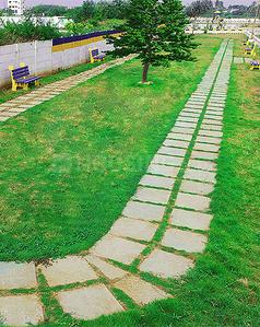 Project Image of 658.0 - 2484.0 Sq.ft Residential Plot Plot for buy in Royal Star Phase III