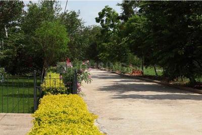 Project Image of 3000.0 - 7000.0 Sq.ft Residential Plot Plot for buy in Samarkhand Sunny Brooks