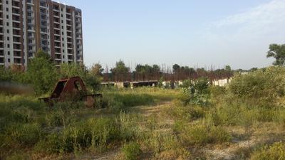 Urban Ekta Garden Project Images