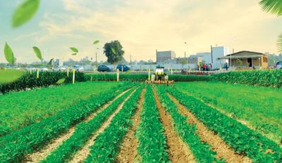 Project Image of 4650.0 - 10000.0 Sq.ft Residential Plot Plot for buy in SRK Organic Farms