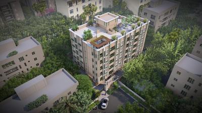 DAC Madison Elevation 2