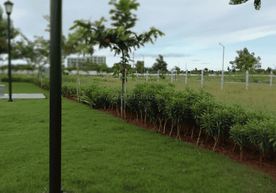 Project Image of 600.0 - 1991.0 Sq.ft Residential Plot Plot for buy in Tata New Value Homes Crescent Enclave