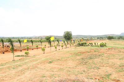 Project Image of 1350.0 - 9000.0 Sq.ft Residential Plot Plot for buy in LNR Sree Yadadri Township