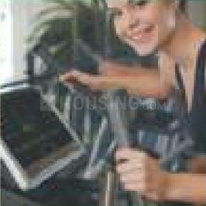 Levity Golf Links Gymnasium 1