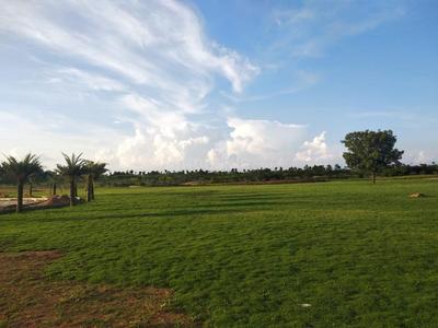 Project Image of 5445.0 - 47157.0 Sq.ft Residential Plot Plot for buy in Bridge Forest Creek