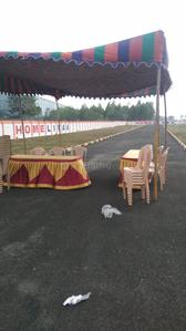 Project Image of 855.0 - 1282.0 Sq.ft Residential Plot Plot for buy in United Enclave