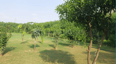 Project Image of 0.0 - 1684.0 Sq.ft 5.5 BHK Villa for buy in Jai Shree Madhuvan Residency