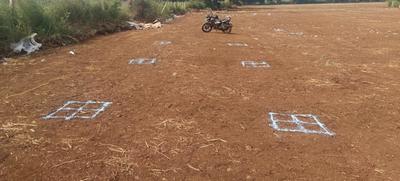 Project Image of 2178.0 - 4356.0 Sq.ft Agricultural Land Agricultural Land for buy in S Palani Vanam