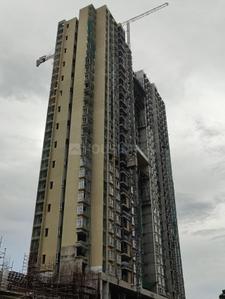 Project Images