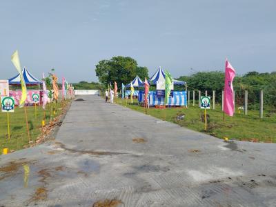 Project Image of 817.0 - 1545.0 Sq.ft Residential Plot Plot for buy in Value Arunachala Nagar