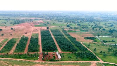 Project Image of 900.0 - 9000.0 Sq.ft Residential Plot Plot for buy in Hindustan Silver City
