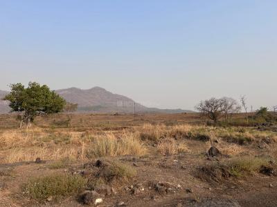 Project Image of 1000.0 - 10000.0 Sq.ft Residential Plot Plot for buy in Mahamum Plots In Bori Bk
