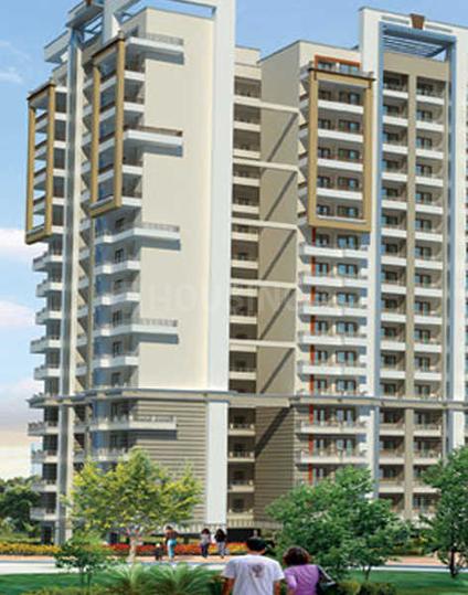 Divyansh Arc Angels - Image 4