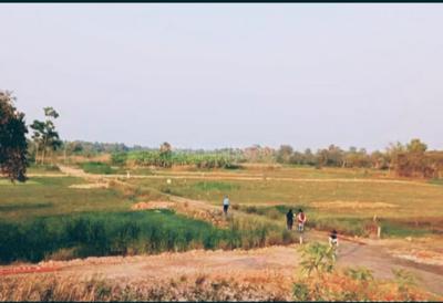 Project Image of 1440.0 - 3600.0 Sq.ft Residential Plot Plot for buy in S A Nest Valley Part 3