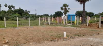 Project Image of 900.0 - 1200.0 Sq.ft Residential Plot Plot for buy in MS City Plots