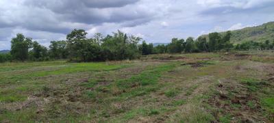 Project Image of 1000.0 - 10000.0 Sq.ft Residential Plot Plot for buy in Royals Land Plots In Dronagiri