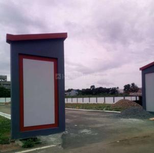 Project Images