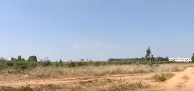 Project Image of 891.9 - 3125.95 Sq.ft Residential Plot Plot for buy in Manyata Midlands