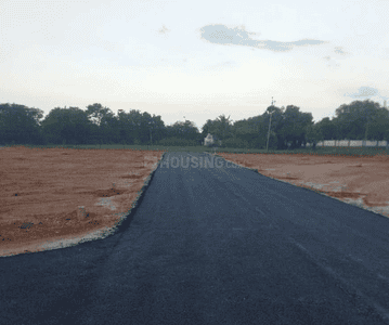 Project Images