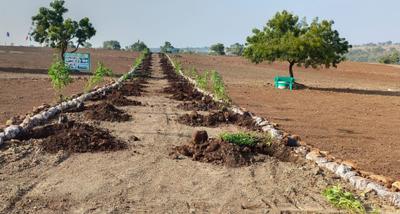 Project Image of 5445.0 - 43560.0 Sq.ft Residential Plot Plot for buy in Lotus Mana Polam
