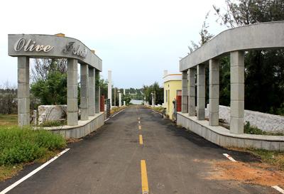 Project Image of 4440.0 - 9500.0 Sq.ft Residential Plot Plot for buy in Olive Island