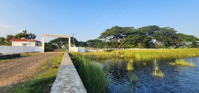 Project Image of 2033.0 - 9425.0 Sq.ft Residential Plot Plot for buy in GP Prompton Springs