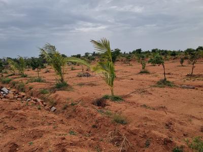 Project Image of 5445.0 - 9000.0 Sq.ft Residential Plot Plot for buy in Sahasra Mango Garden Phase 1