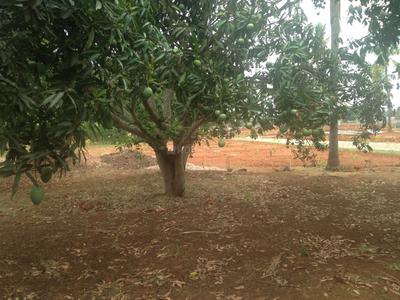 Project Image of 1108.0 - 2400.0 Sq.ft Residential Plot Plot for buy in Shriram Godhuli