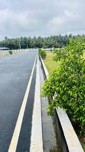 Project Image of 435.0 - 2656.0 Sq.ft Residential Plot Plot for buy in RR Oak Tree