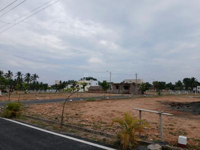 Project Images