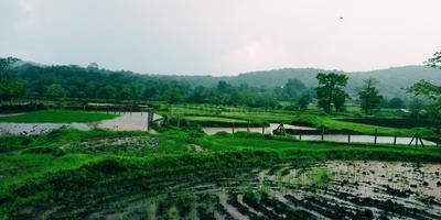 Project Image of 999.97 - 5444.92 Sq.ft Residential Plot Plot for buy in Infra